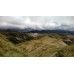 Miel Natural de Abejas (Sachet)